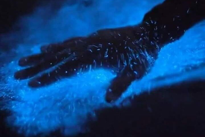  Bioluminescence Kayak Tour Near Orlando - Photo 1 of 5